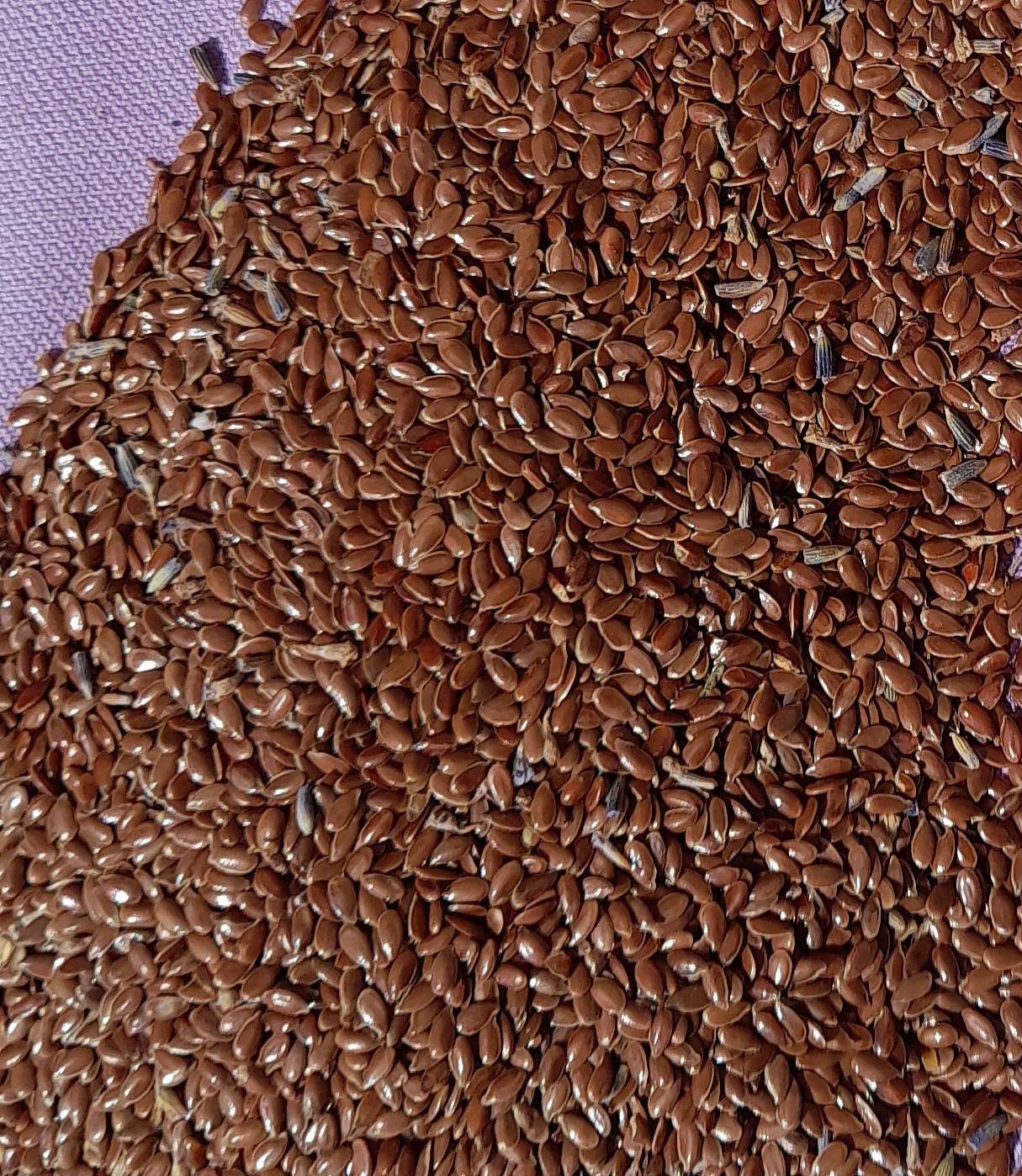 Masque de relaxation pour les yeux, bio en graines de lin